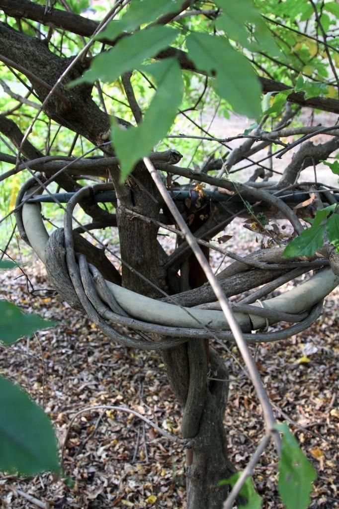 IMAGE: http://i1125.photobucket.com/albums/l582/asa1485X2/Forum%20stuff/Picture14288.jpg