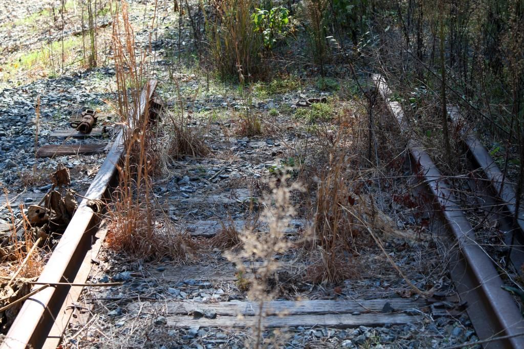 IMAGE: http://i1125.photobucket.com/albums/l582/asa1485X2/Forum%20stuff/Picture14300.jpg