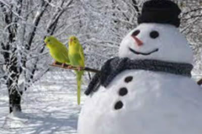 Snowman Avatar Pictures, Images and Photos