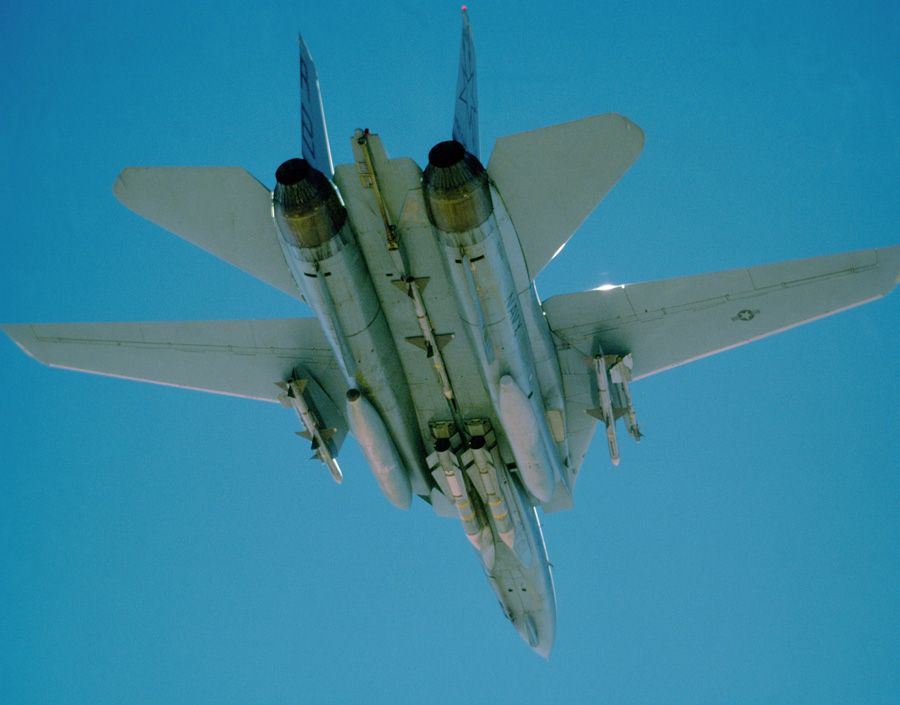 F-14-Tomcat2xPhoenix3xSparrow2xSidewinderVF-33_zps03b8b4c3.jpg