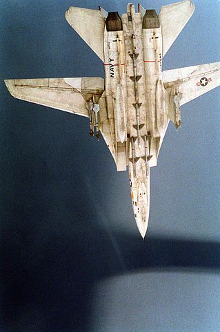 F-14A_VF-41_Operation_Desert_Storm_CAP_zpscc2c0246.jpeg