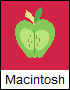 bigmacicon_zps7f2408f2.png
