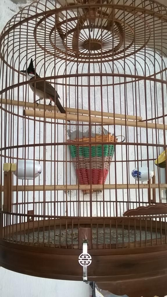 Huế ( Nam Đông ).............2 mùa ( Giá tốt )