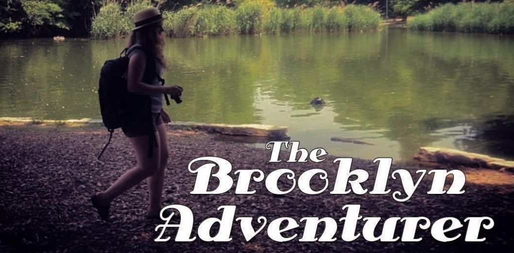 The Brooklyn Adventurer
