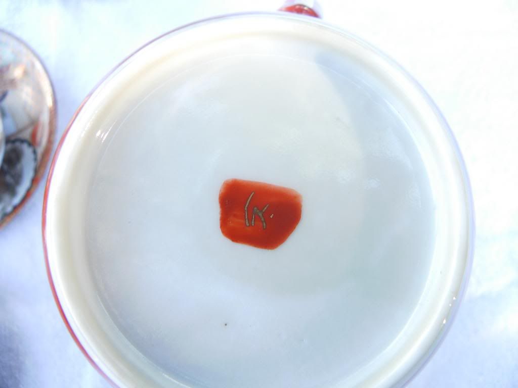  photo SAM_1509_zps4eddfe5a.jpg