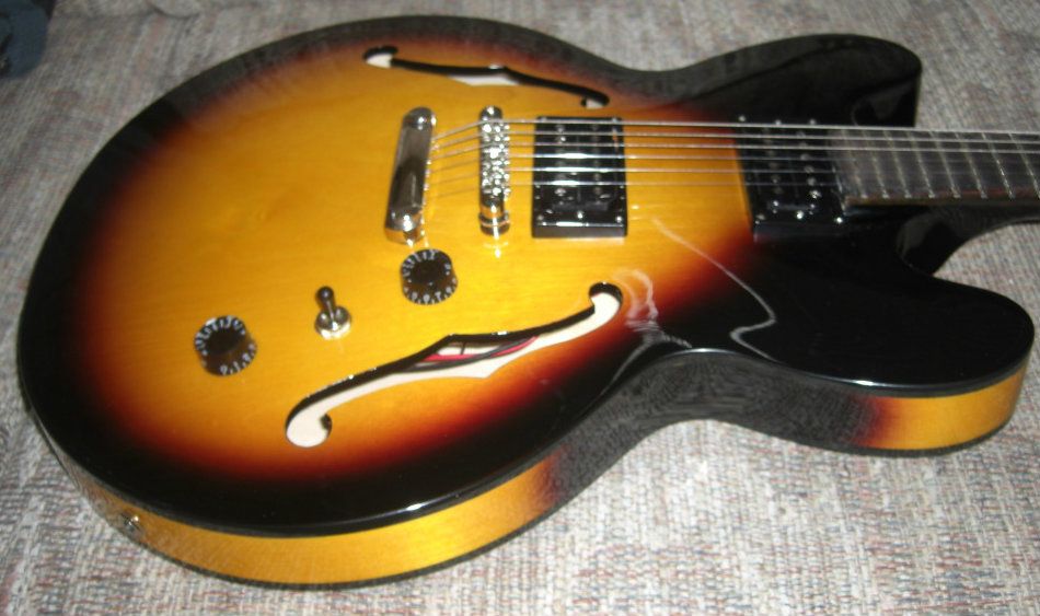 Epiphone dot custom shop limited edition Epiphone ES335 dot PRO