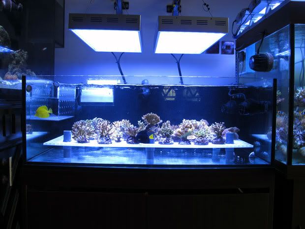 fts-frag-17-04-2011.jpg