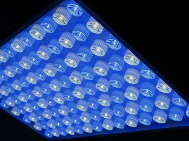 led-close-up.jpg