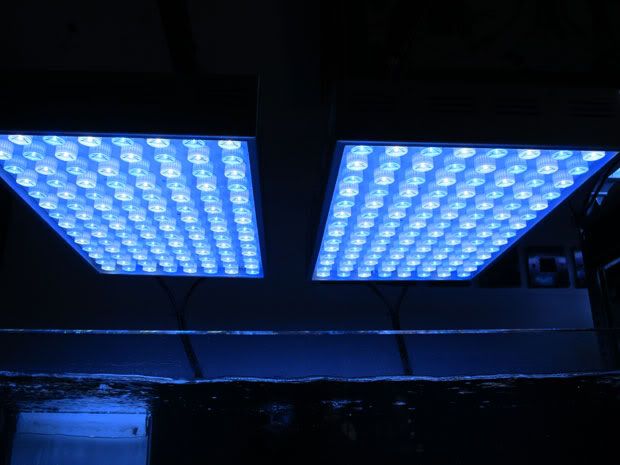 led-ecoray.jpg