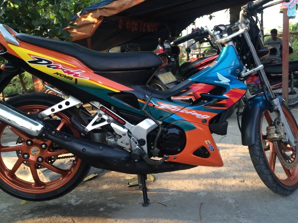 Hot hot nova dash 2001 lên 1 gắp giá hot hot hot - 2