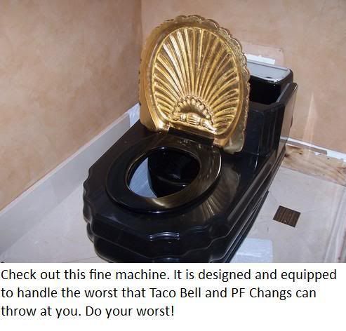 toilet-seat-cover-gold.jpg