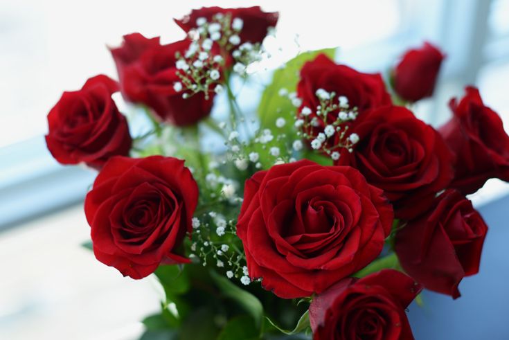 roses-things-i-love photo Roses-Things-I-Love_zps755dba6a.jpg