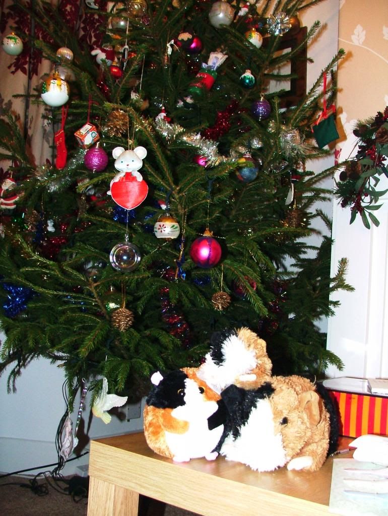 christmas12_zpsabbab23e.jpg
