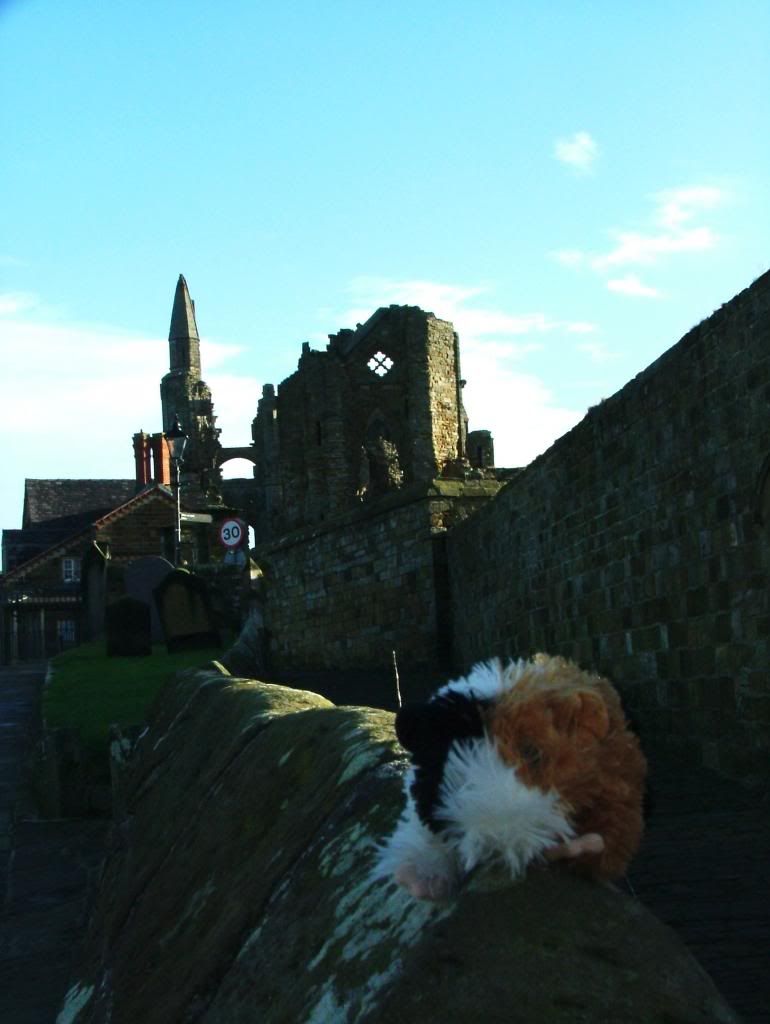 whitby301212_zpse43018ba.jpg