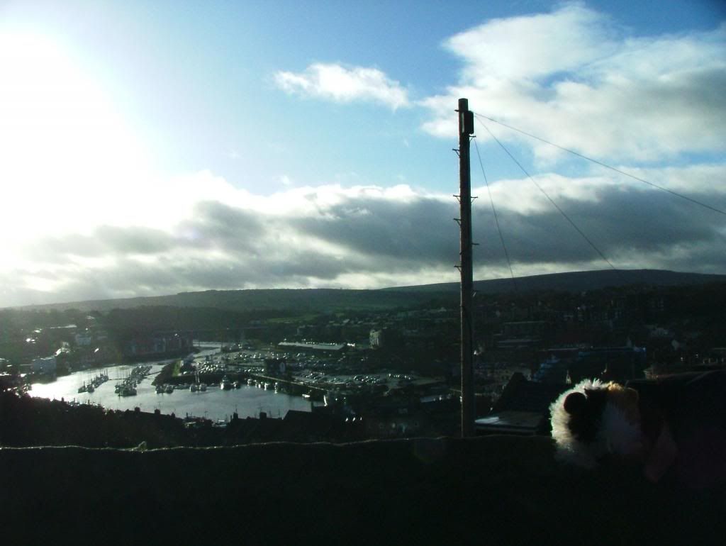 whitby99steps_zps4a45da7c.jpg
