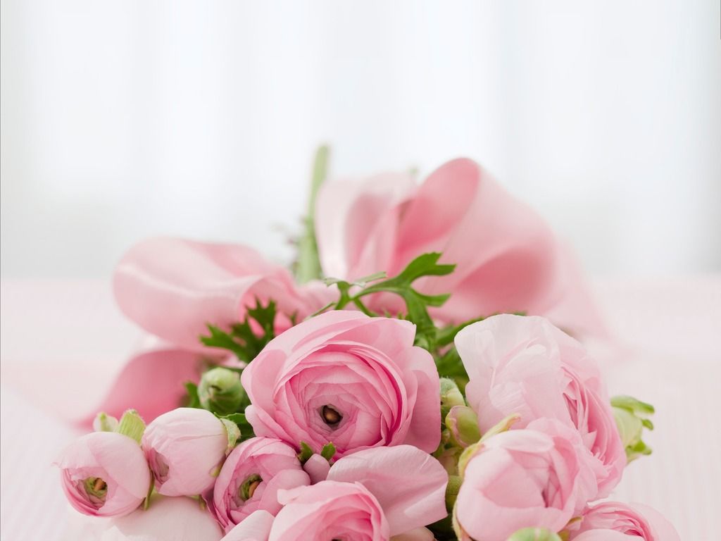 Like a rose, in pink <3